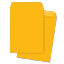 BSN42099 - Business Source Durable Kraft Catalog Envelopes