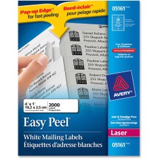 AVE05161 - Avery&reg; Mailing Label