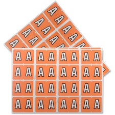 PFX06601 - Pendaflex Color Coded Label