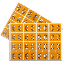 PFX06603 - Pendaflex Color Coded Label