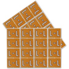 PFX06612 - Pendaflex Colo Coded Label