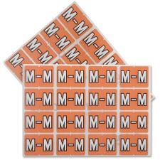 PFX06613 - Pendaflex Color Coded Label