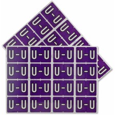 PFX06622 - Pendaflex color Coded Label