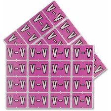 PFX06623 - Pendaflex color Coded Label