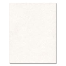 HLR20210 - Hilroy Bristol Colored Posterboard