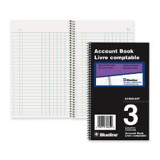 BLIA165003T - Blueline Accounting Book
