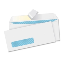 BSN16473 - Business Source Security Tint Window Envelopes