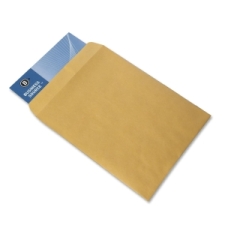 BSN42100 - Business Source Kraft Gummed Catalog Envelopes