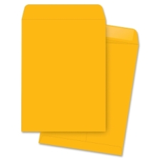 BSN42101 - Business Source Kraft Gummed Catalog Envelopes