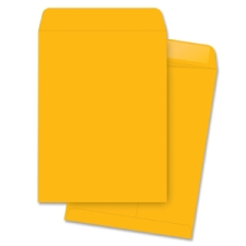 BSN42104 - Business Source Durable Kraft Catalog Envelopes