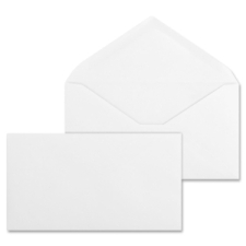 BSN42252 - Business Source No. 6-3/4 White Wove V-Flap Business Envelopes