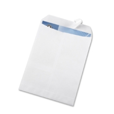BSN65450 - Business Source Self Sealing Catalog Envelope