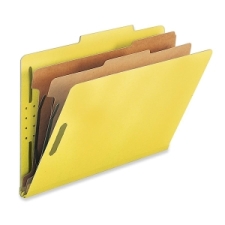 NATSP17227 - Nature Saver 2-divider Legal Classifciation Folders