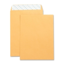 BSN42120 - Business Source Self Adhesive Kraft Catalog Envelopes
