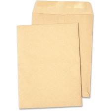 QUA41094 - Quality Park Catalog Envelope