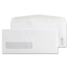 SPX1024445FSX - Supremex Envelope