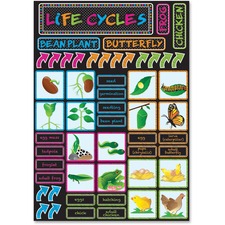 TEP8305 - Trend Sea Buddies Collection Birthday Bulletin Board Set