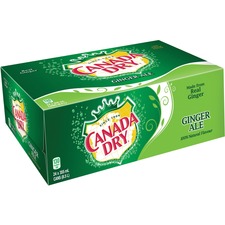 CCR2434 - Coca-Cola Dry Ginger Ale Soft Drink