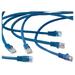 EXM57271 - Exponent Microport Cat.5e Network Patch Cable