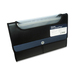 WNN202WF12 - Winnable 13-Pocket Expanding Poly Window File