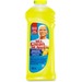 PGC00803 - Mr. Clean Multi-surface Citrus Cleaner