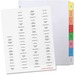 BSN99815 - Business Source Index Dividers and Labels